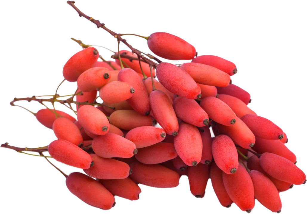Berberin HCL